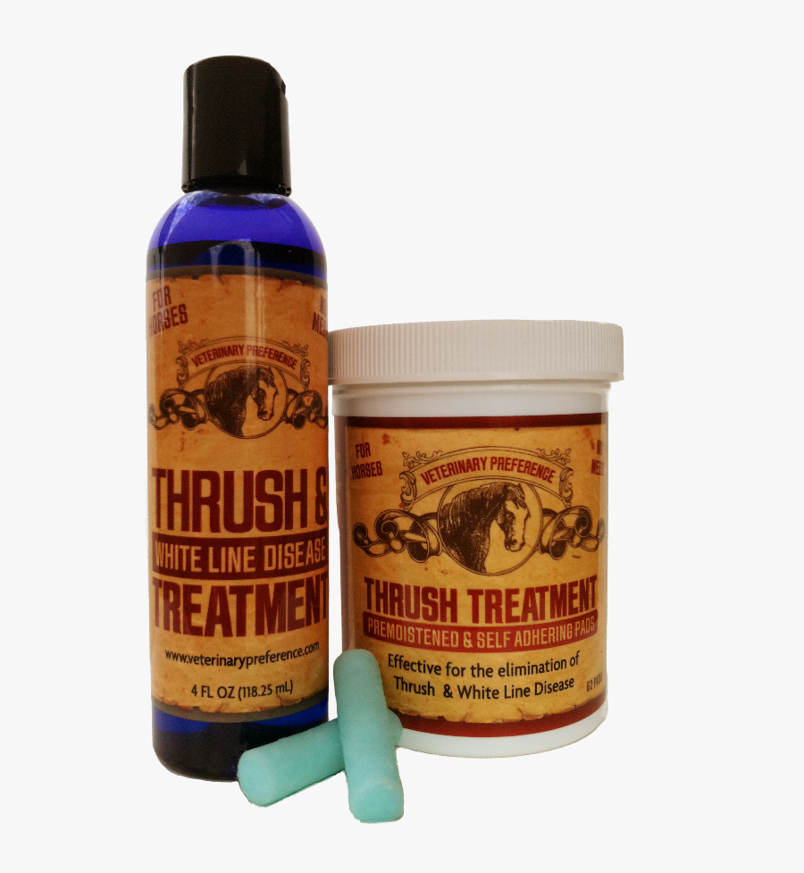 Thrush, Anti - - Tapir, Transparent Clipart