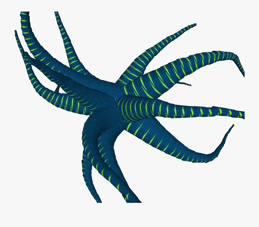 See Hi-res Anemone And - Cartoon Sea Anemone No Background, Transparent Clipart