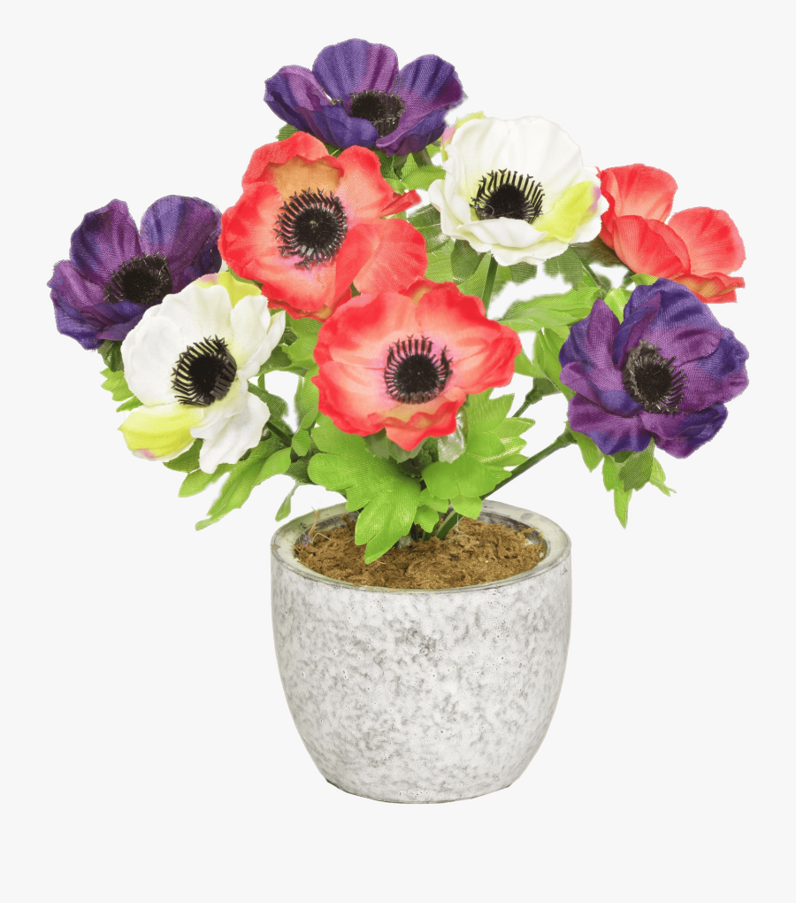 Colourful Anemones In A Pot - Artificial Flower, Transparent Clipart