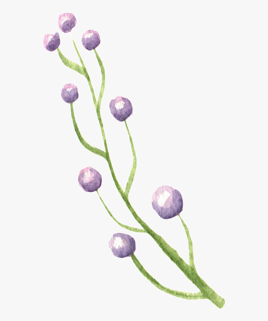 Clip Art Popular Purple Flowers - Japanese Anemone, Transparent Clipart
