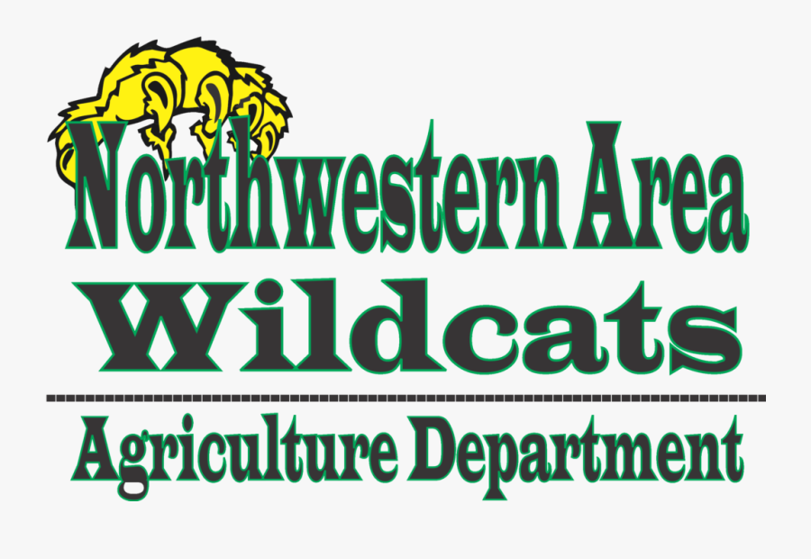 Tiger Paw With Claws, Transparent Clipart