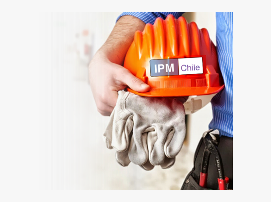 Personal Crop U4506 - Prevencion De Riesgos Laborales, Transparent Clipart