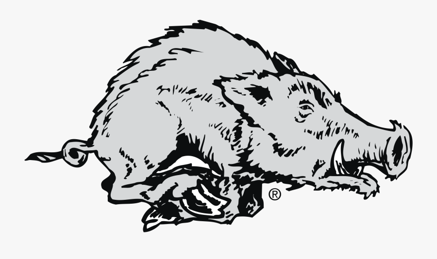 Pig Clip Art University Of Arkansas Arkansas Razorbacks - Arkansas Razorbacks, Transparent Clipart