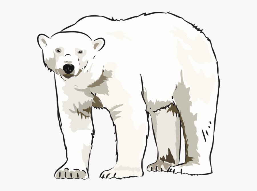 Transparent Polar Bear Clip Art - Polar Bear Clipart Png, Transparent Clipart