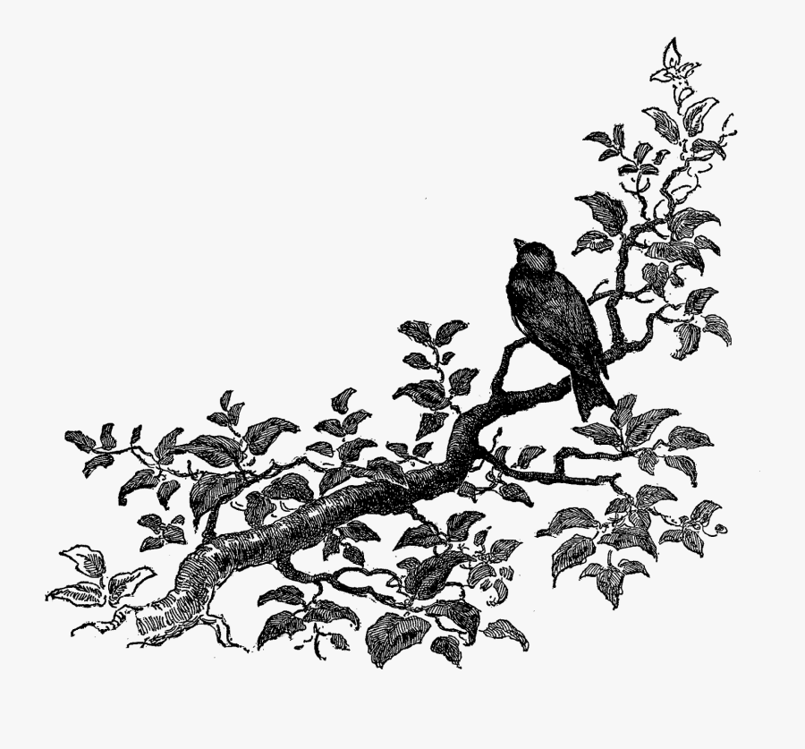 Transparent Free Clipart Corner Designs - Art Corner Design Png, Transparent Clipart