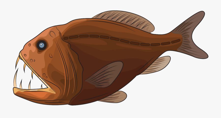 Anglerfish, Transparent Clipart