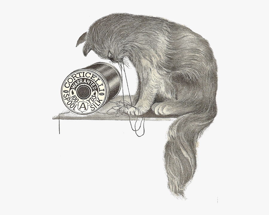 Sketch, Transparent Clipart