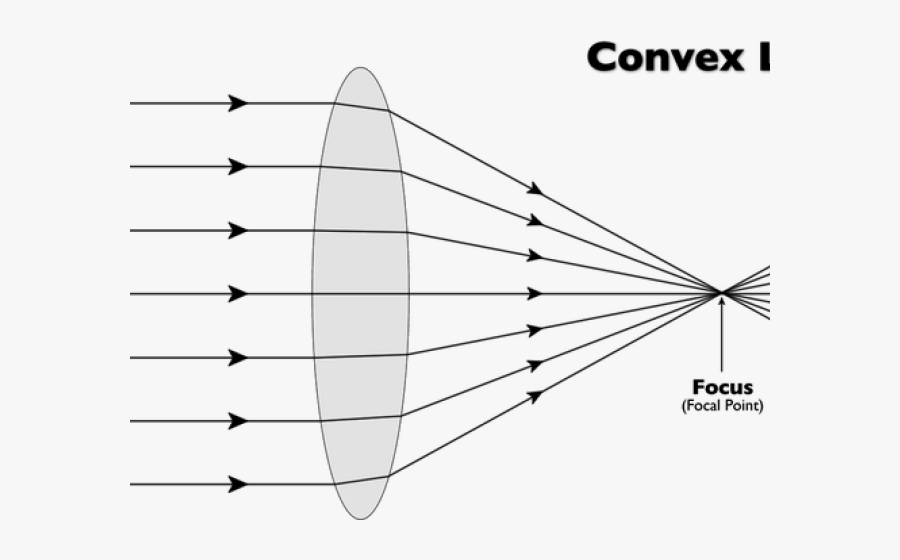 Simple Convex Lens Diagram, Transparent Clipart