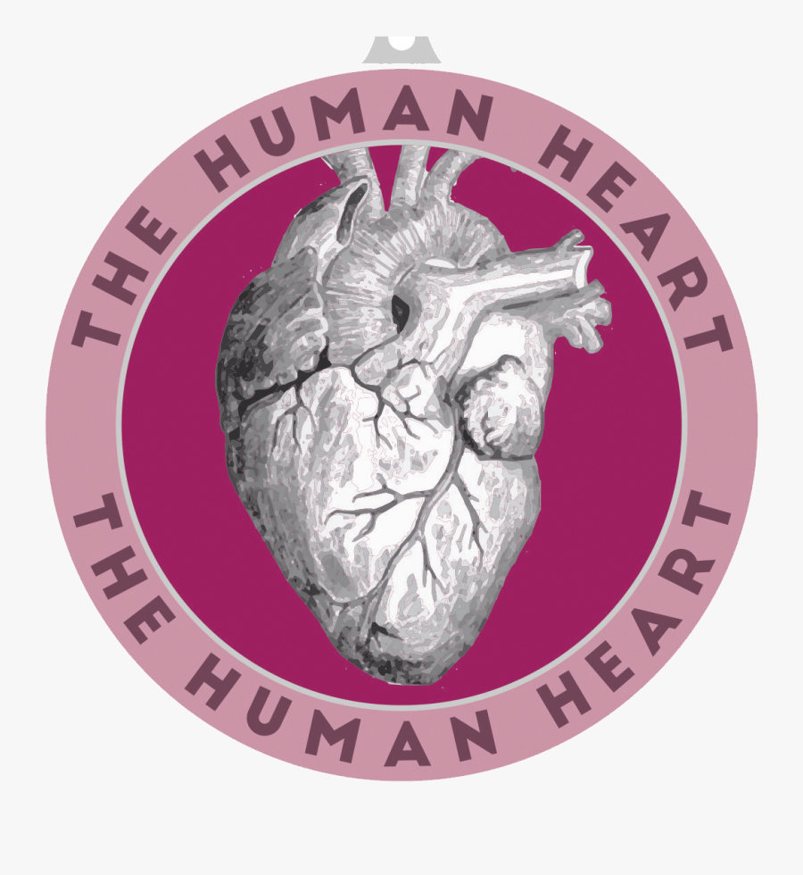 They Are Part Of Our Circulatory System And They Are - Nassau County Deputy Sheriff's Logo, Transparent Clipart