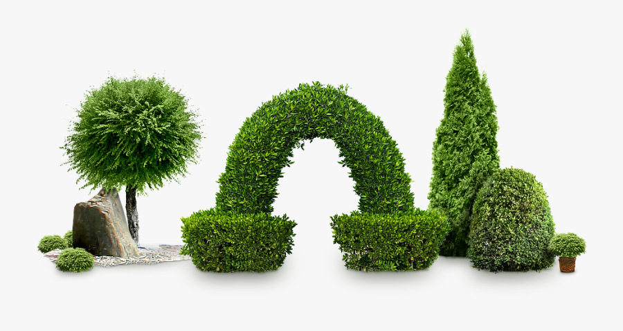 Bush Installation Landscaper Oak Lawn - Bush Plant Png, Transparent Clipart