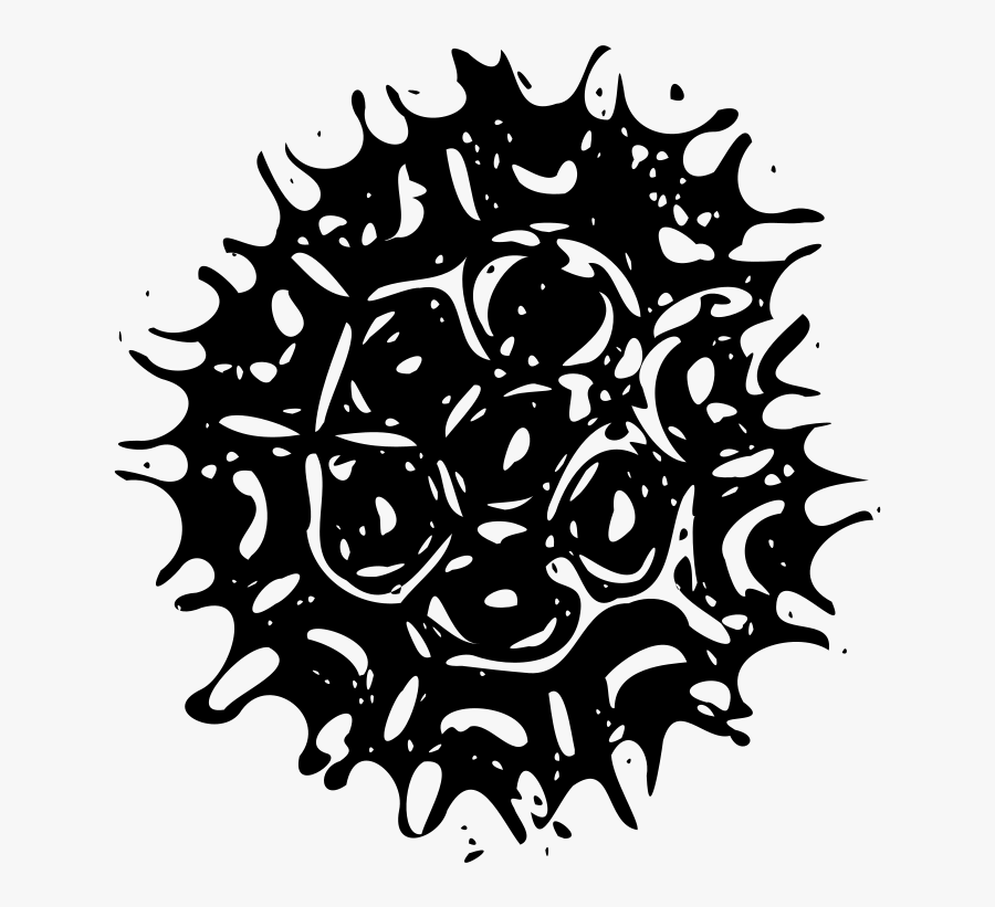 Plank Clipart Free For Download - Phytoplankton Png, Transparent Clipart