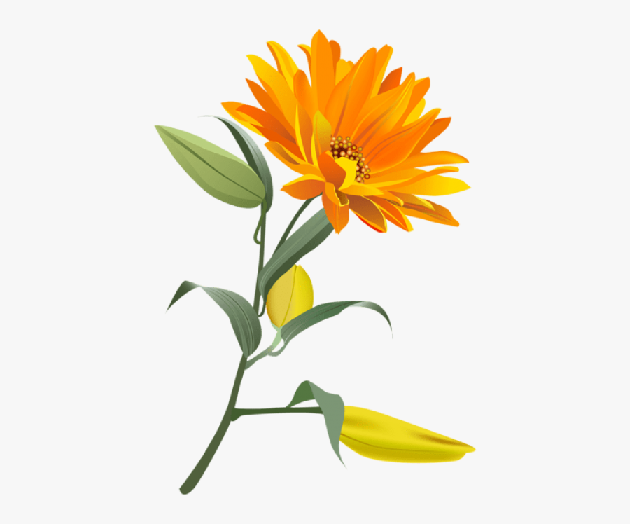 Free Png Download Orange Flower Png Images Background - Orange Flower Clipart, Transparent Clipart