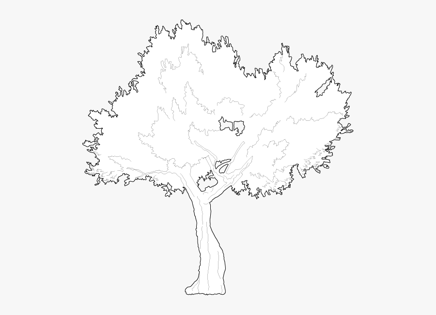 Olive Tree Cad Block, Transparent Clipart