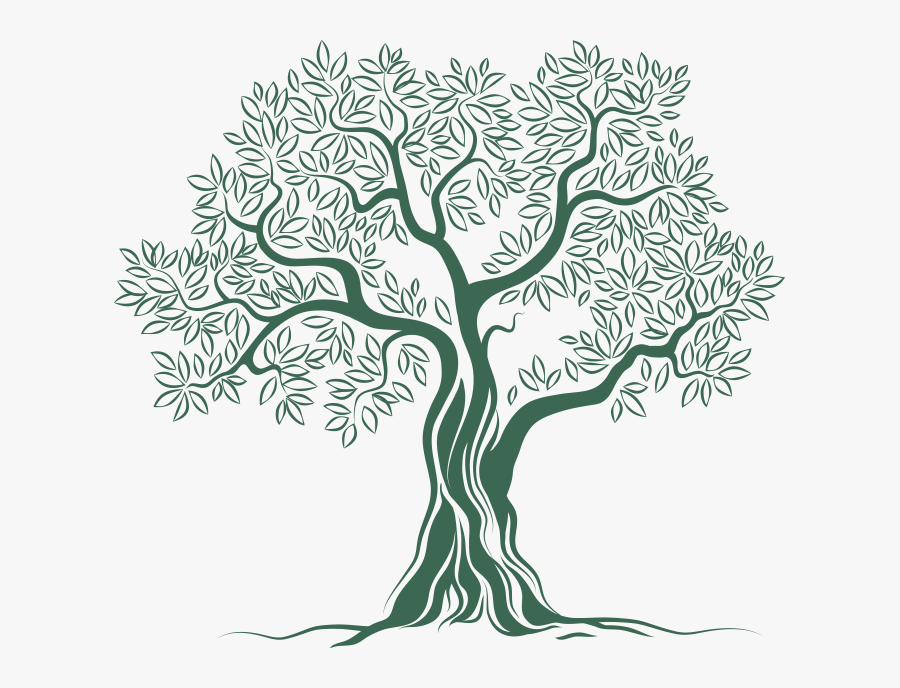 Olive Tree Logo Png , Png Download - Olive Tree Logo Png, Transparent Clipart