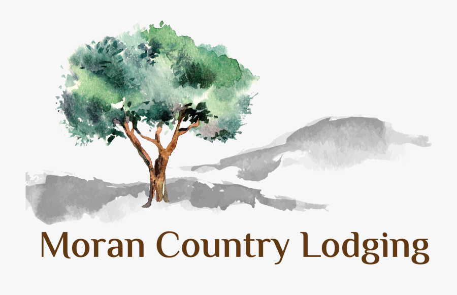 Moran Lodge Logo - Watercolor Tree Branch Background, Transparent Clipart