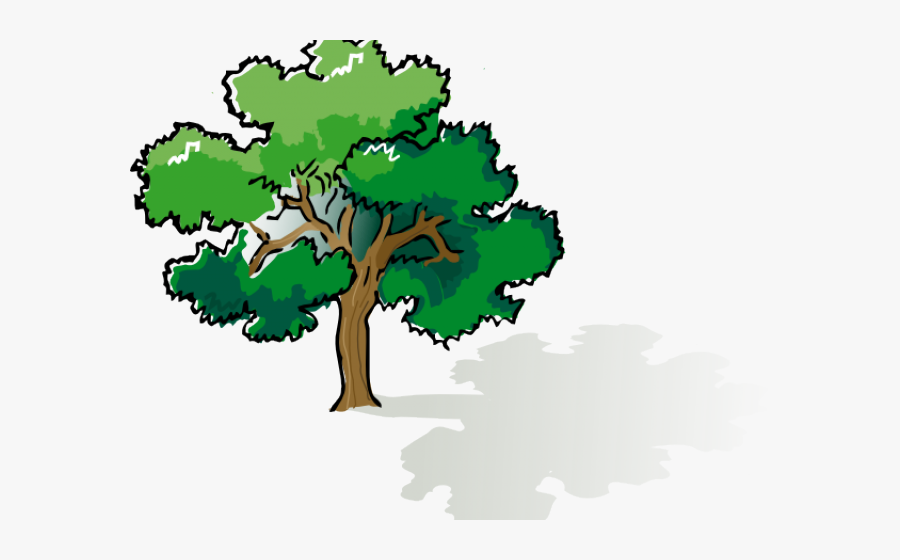 Tree Cliparts - Shade Clipart, Transparent Clipart