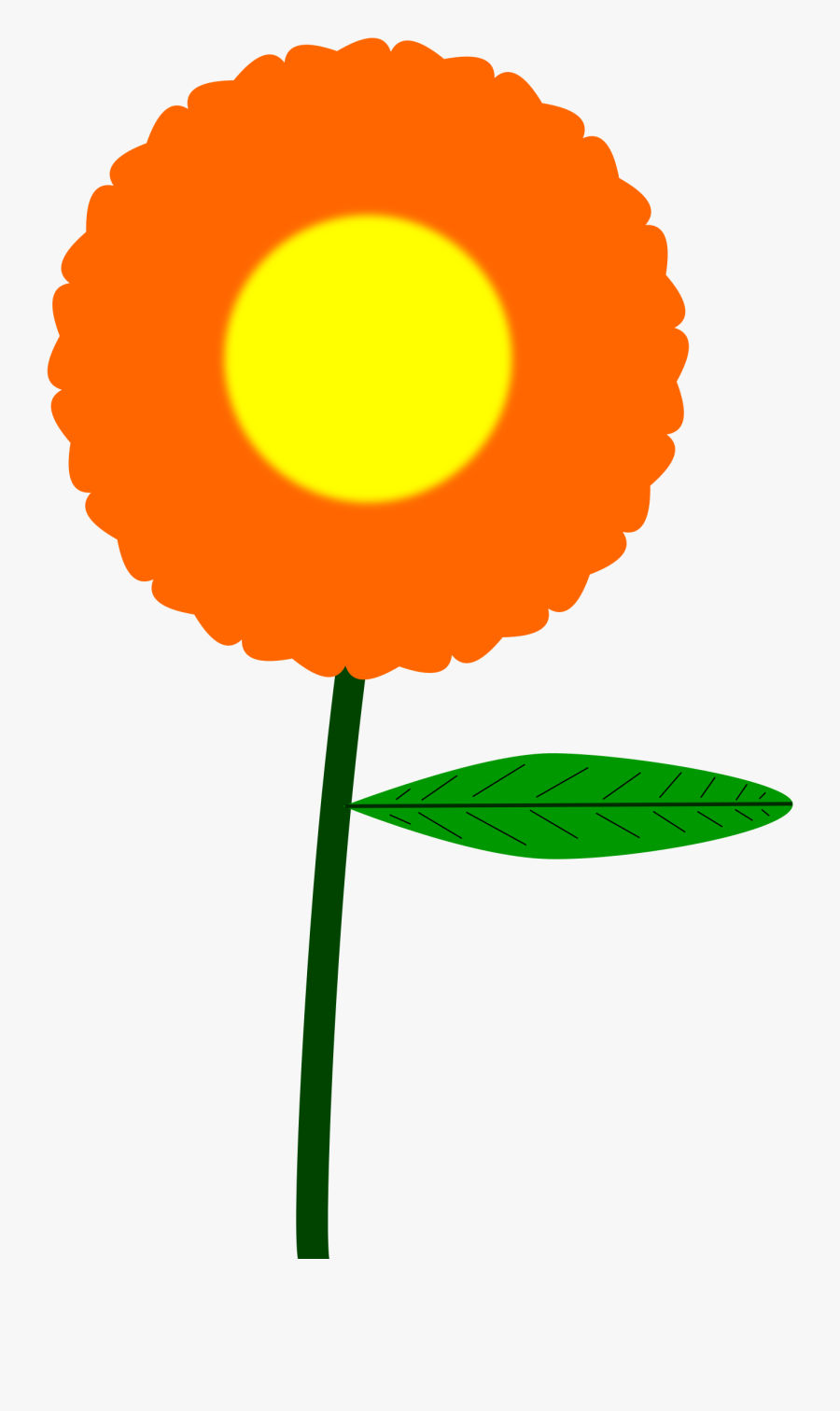 Plant,flower,leaf - Orange Flower Clip Art, Transparent Clipart