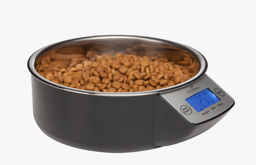 Cat Food Bowl Png - Dog, Transparent Clipart