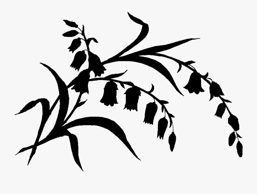 Portable Network Graphics, Transparent Clipart