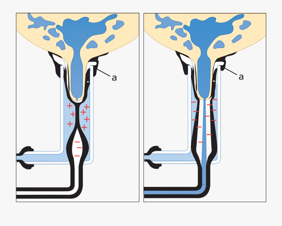Hệ Thống Vắt Sữa Clipart , Png Download - Milk, Transparent Clipart
