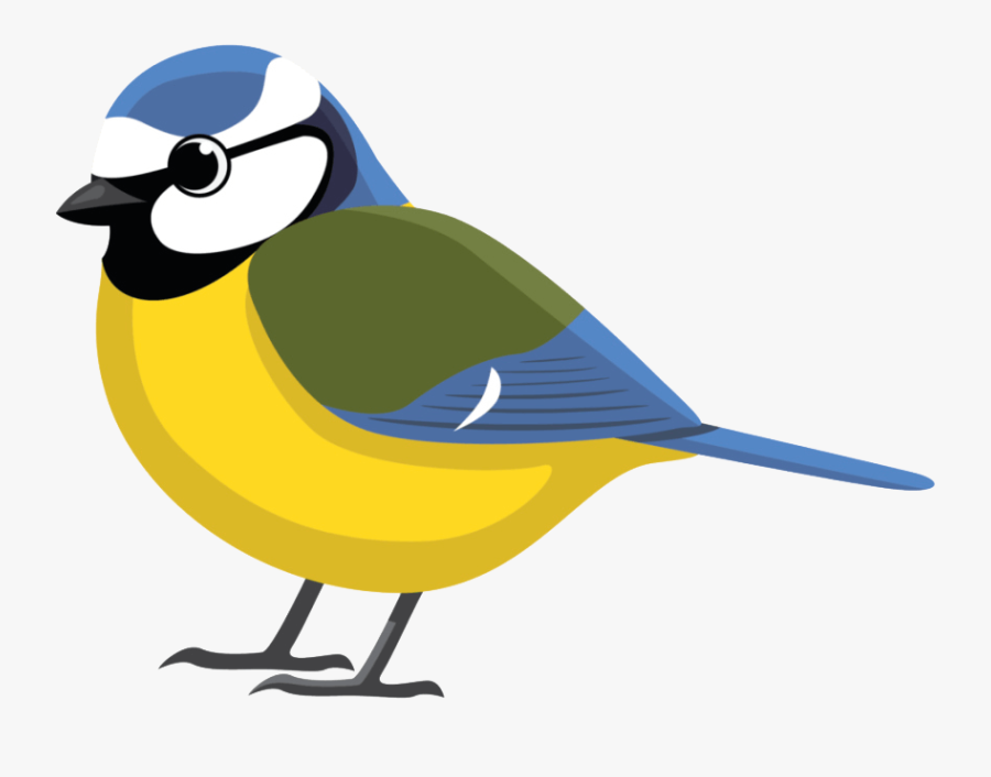 Blue Tit Bird Clipart, Transparent Clipart