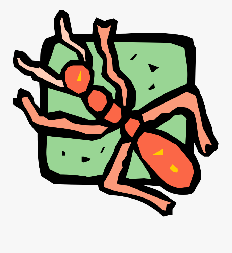 Insect 40 Svg Clip Arts - Insect, Transparent Clipart