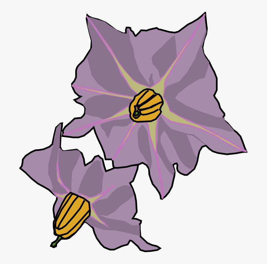 Ginger Coons Learns To Blog - Potato Flower Drawing, Transparent Clipart
