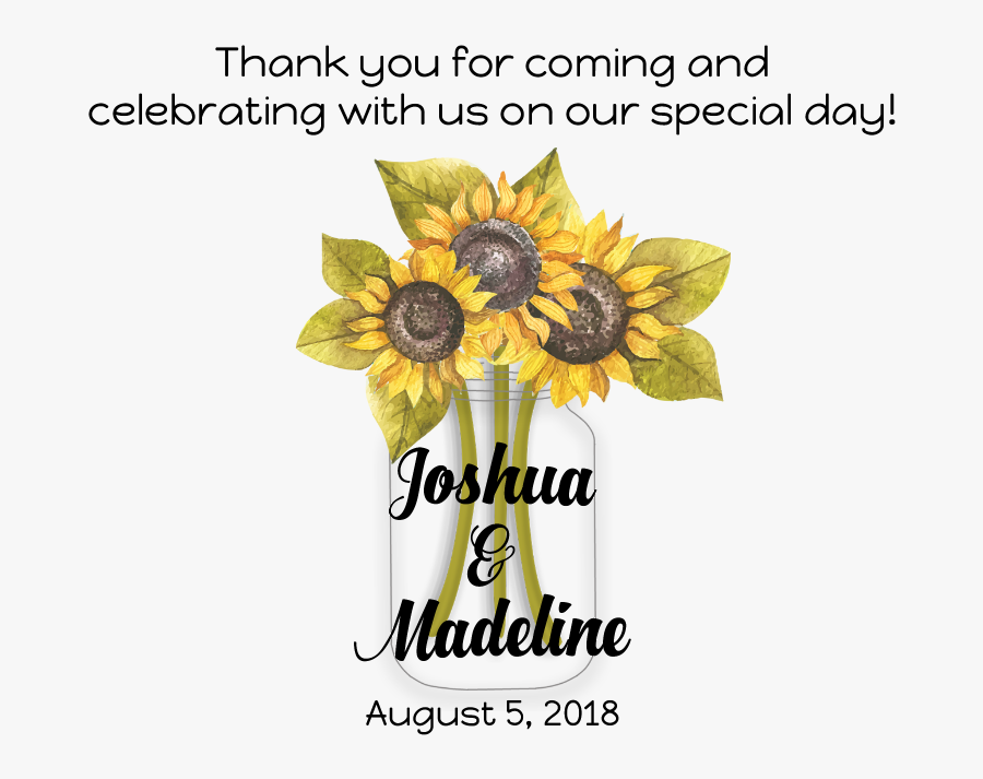 Sunflowers Png Mason Jar - Black-eyed Susan, Transparent Clipart