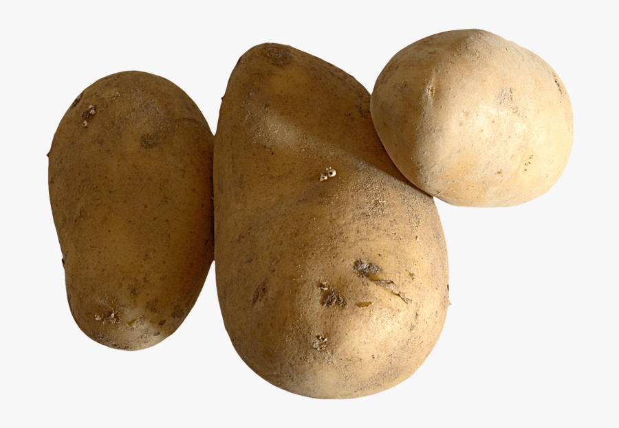 Portable Network Graphics, Transparent Clipart