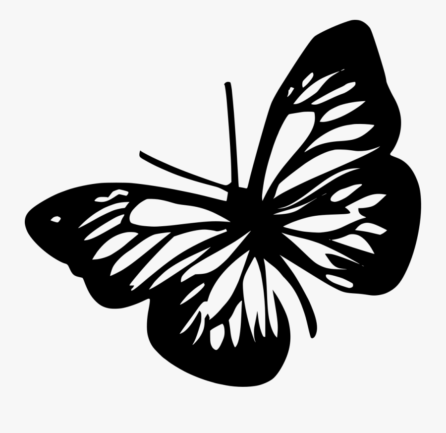 Svg Clipart, Transparent Clipart