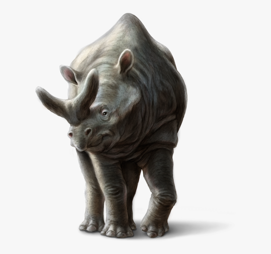 Transparent Saber Tooth Tiger Png - Animales Reales Png, Transparent Clipart