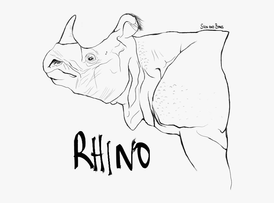 Rhino Skin And Bones - Line Art, Transparent Clipart