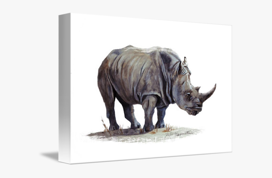 Transparent Rhinoceros Png - Black Rhinoceros, Transparent Clipart