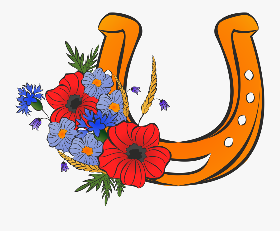 Venturing Into The World Of Entrepreneurship - African Daisy, Transparent Clipart