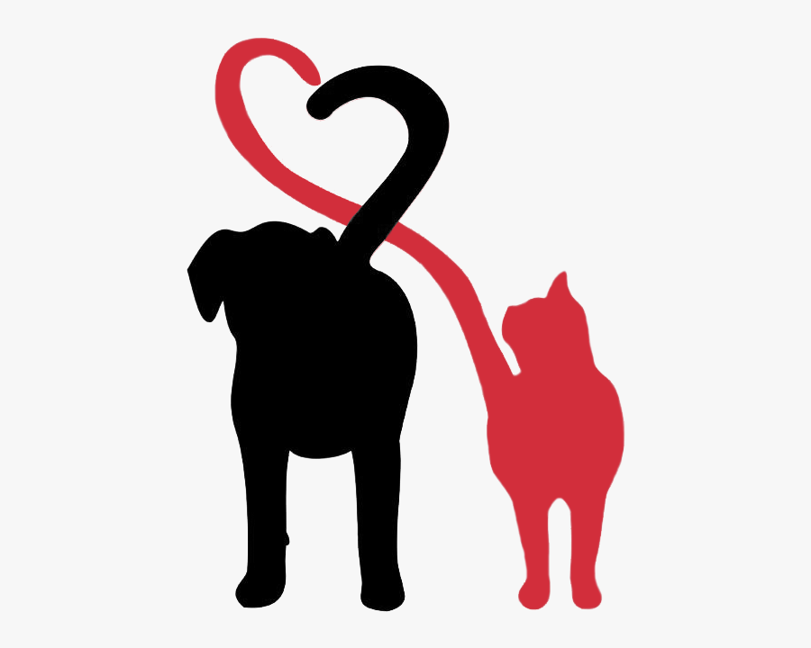 Dalmatian Dog Dogu2013cat Relationship Pet Sitting, Transparent Clipart