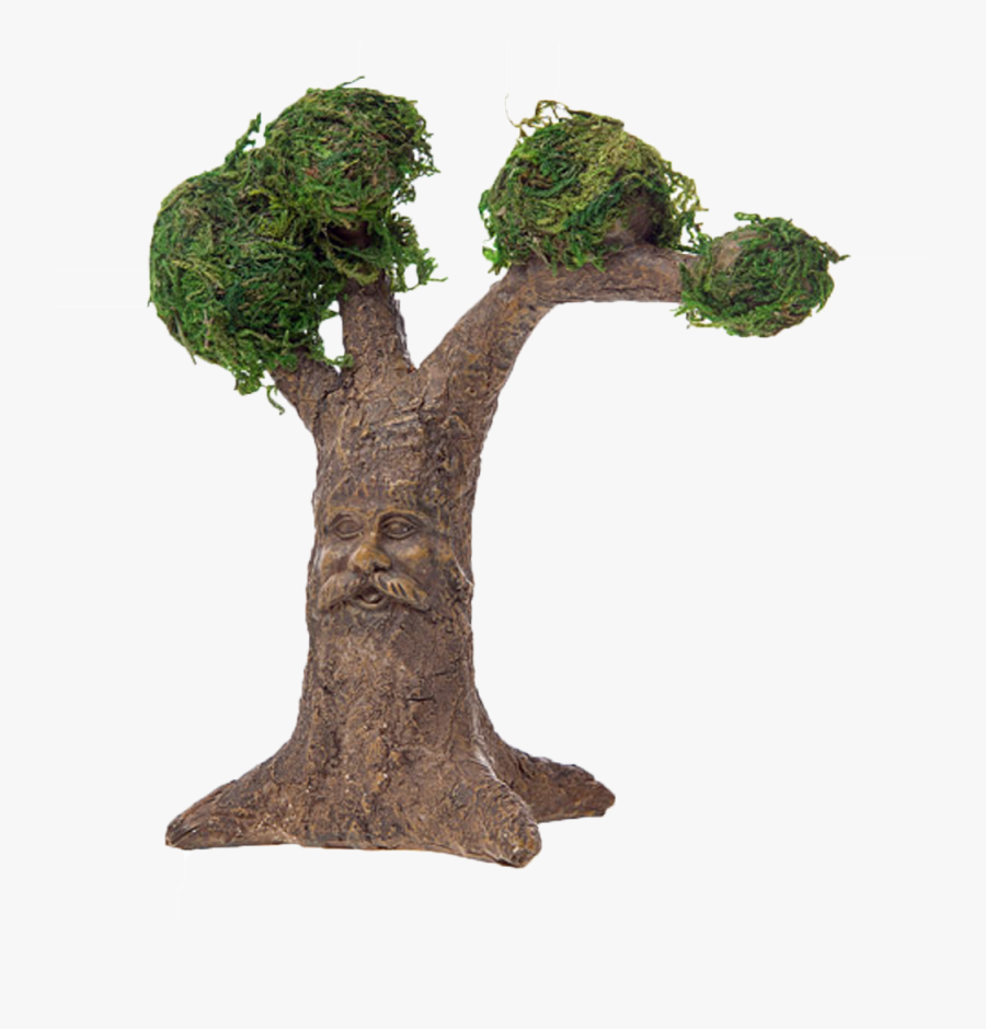 Darice Fairy Garden Tree With Carved Face , Png Download - Fairy Gardens Transparent Background, Transparent Clipart