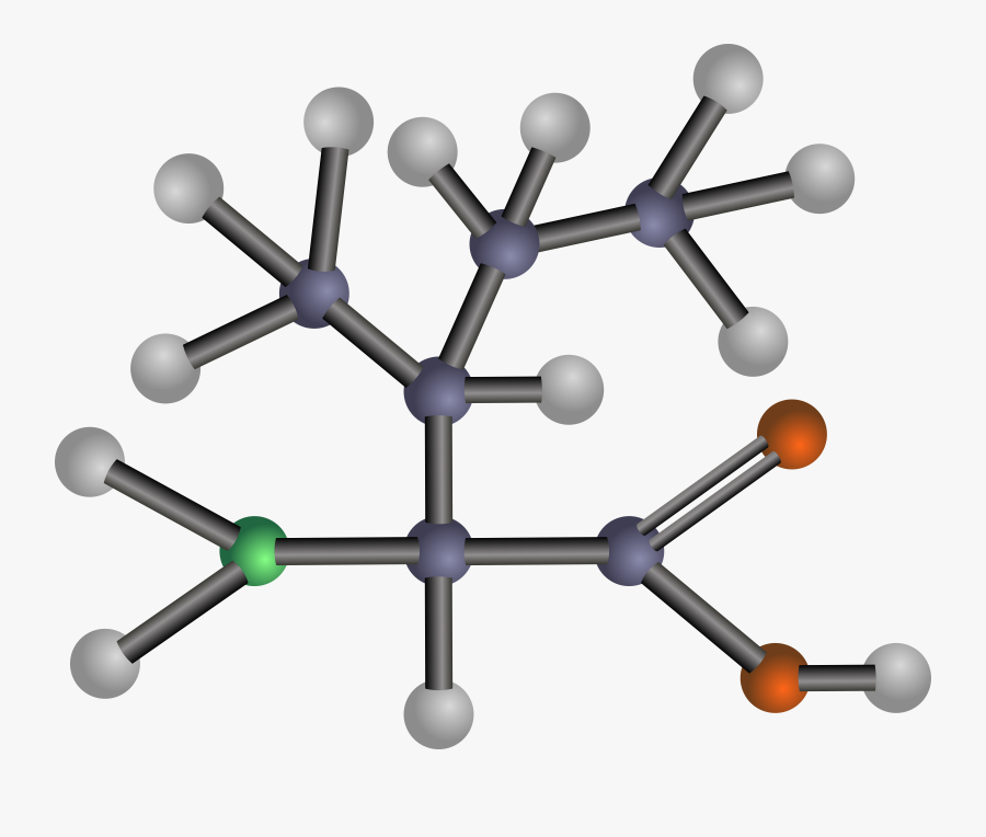 Estructura De Branched Chain Amino Acids, Transparent Clipart