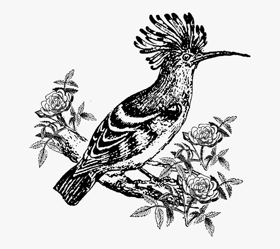 Hoopoe, Bird, Animal, Exotic - Hud Hud Bird Clipart, Transparent Clipart
