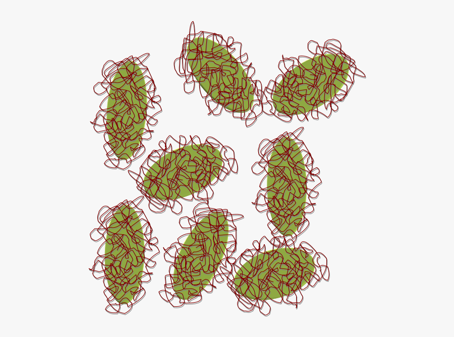 Laponite Peg - Illustration, Transparent Clipart