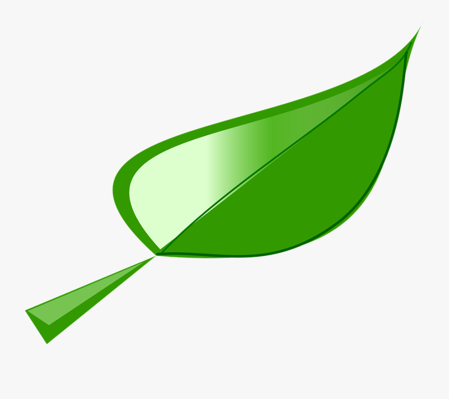 Leaf Graphic 21, Buy Clip Art - Cartoon Leaf Drawing, Transparent Clipart