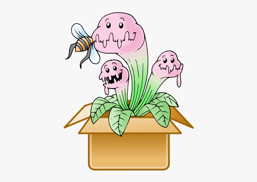 Venus Flytraps Cheap "
 Title="mystery Box - Venus Flytrap, Transparent Clipart