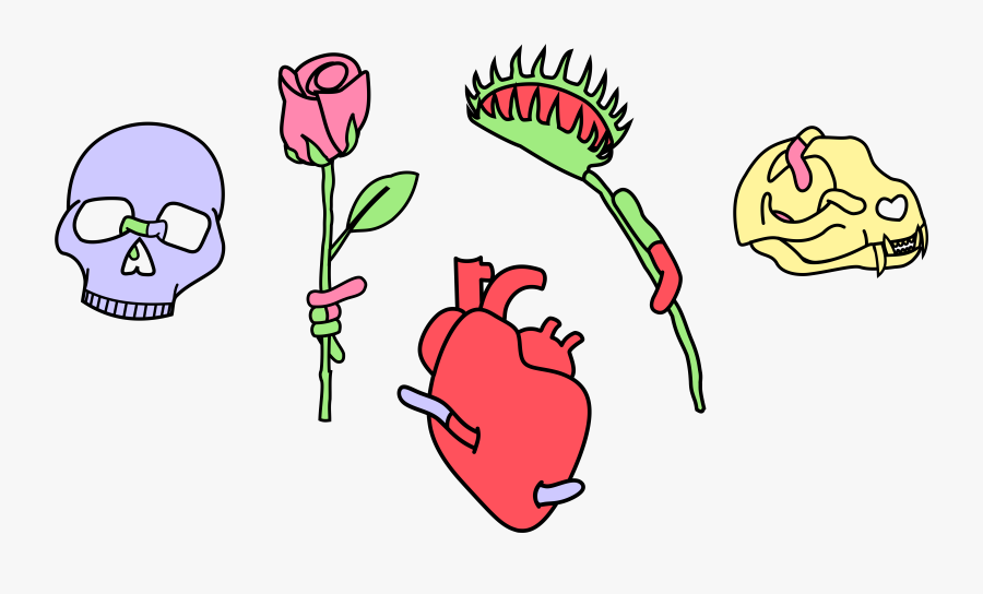 A Drawing Of A Skull, A Rose, A Heart, A Venus Fly, Transparent Clipart