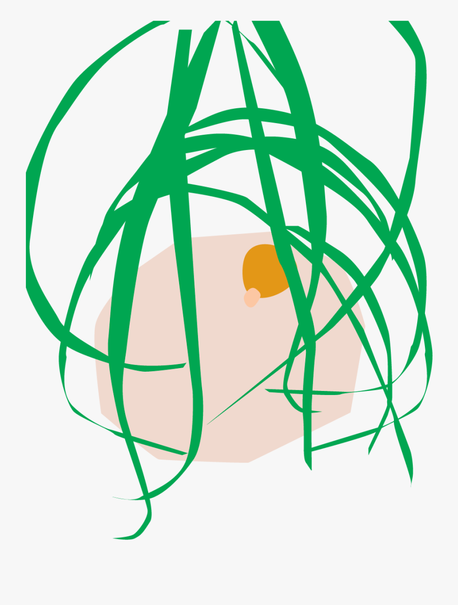 Botanical Name, Transparent Clipart