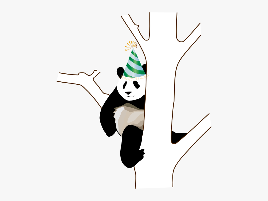 Panda On Tree Drawing, Transparent Clipart