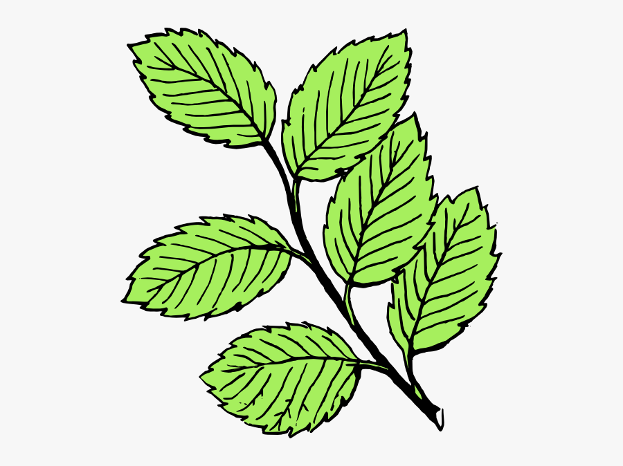 Leaves Light Svg Clip Arts - Leaves Clipart Black And White, Transparent Clipart