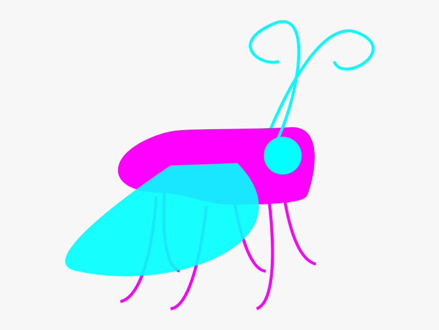 Bug Clip Art Download - Clip Art, Transparent Clipart