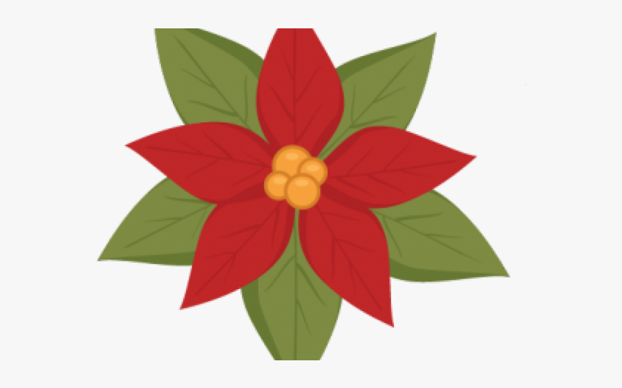 Poinsettias Library Stock Holly Bough Huge Freebie - Poinsettia, Transparent Clipart