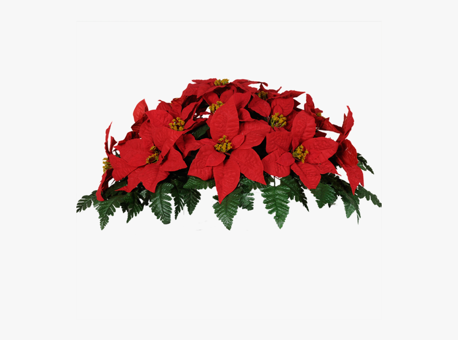 Transparent Poinsettia Png - Poinsettia Flowers Png, Transparent Clipart