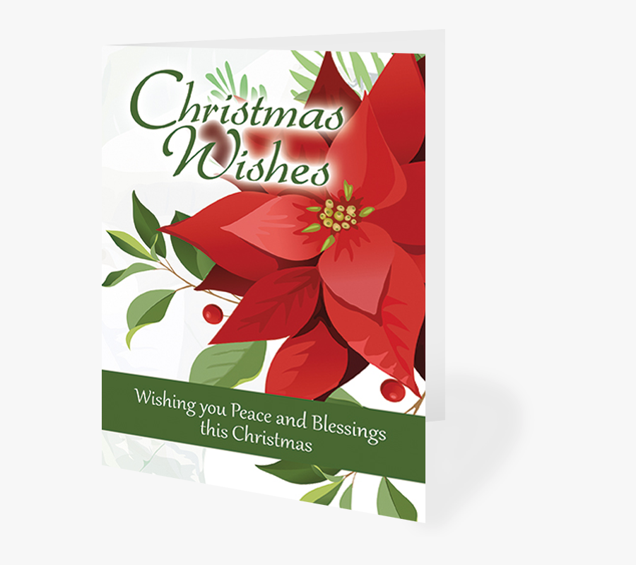 Poinsettia, Transparent Clipart