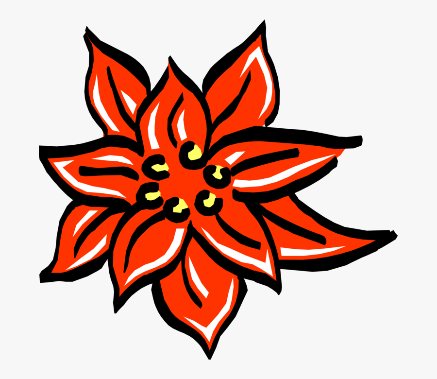 Vector Illustration Of Festive Season Christmas Poinsettia, Transparent Clipart